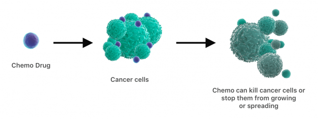 图显示化学药攻击癌症细胞